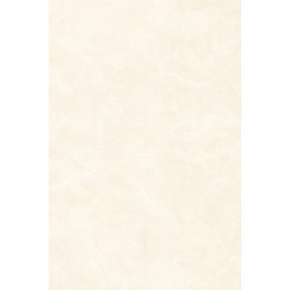 Gạch ốp 30x45 Prime Digit 05.300450.09487